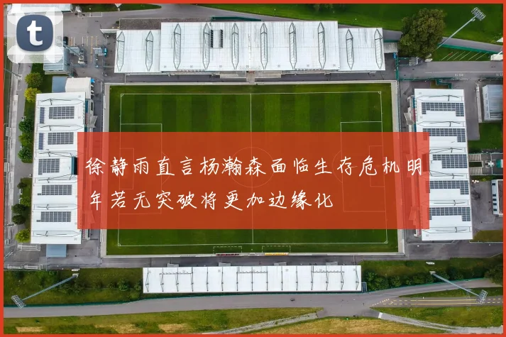 徐静雨直言杨瀚森面临生存危机明年若无突破将更加边缘化