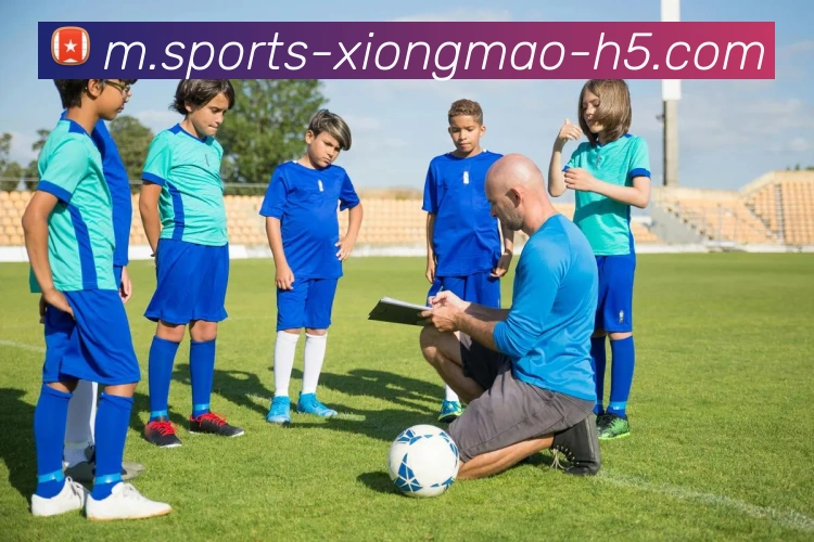 熊猫体育平台生态图